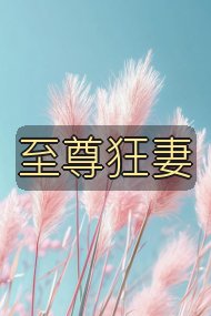 至尊狂妻封面