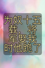 为奴十五载，将军娶我时他跪了封面