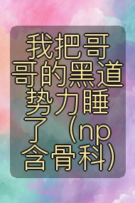 我把哥哥的黑道势力睡了(np 含骨科)封面