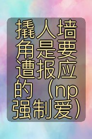 撬人墙角是要遭报应的(np 强制爱)封面