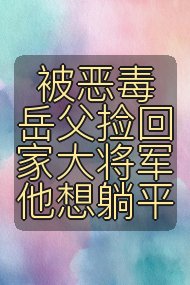 被恶毒岳父捡回家大将军他想躺平封面