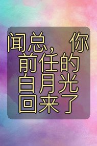 闻总，你前任的白月光回来了封面