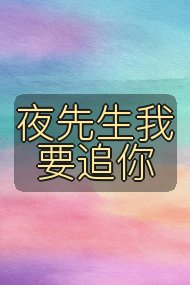 夜先生我要追你封面