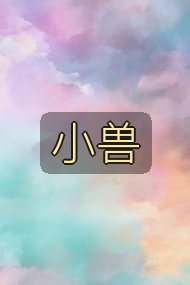 小兽封面