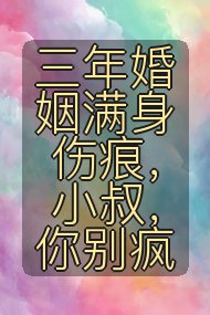 三年婚姻满身伤痕,小叔,你别疯封面