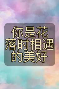 你是花落时相遇的美好封面