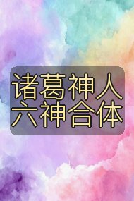 诸葛神人 六神合体封面