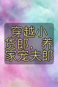 穿越小货郎，养家宠夫郎封面