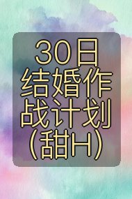 30日结婚作战计划（甜H）封面