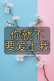 你就不要爱上我封面