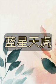 蓝星天虎封面