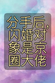 分手后，闪婚对象是京圈大佬封面