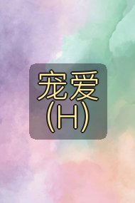 宠爱（H）封面