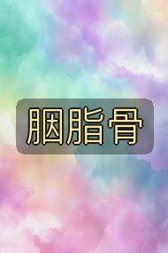 胭脂骨封面