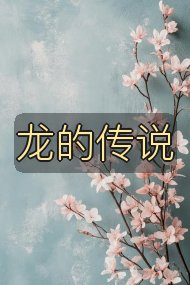 龙的传说封面