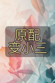 原配变小三封面